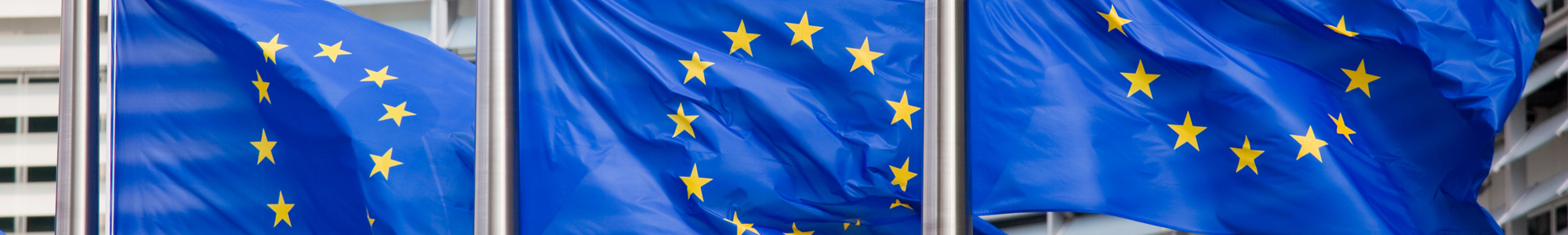 European Flags